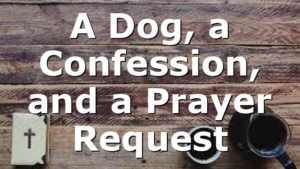 A Dog, a Confession, and a Prayer Request