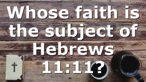 Whose faith is the subject of Hebrews 11:11?