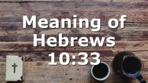 Meaning of Hebrews 10:33