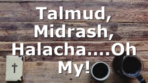 Talmud, Midrash, Halacha….Oh My!