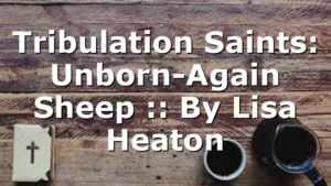Tribulation Saints: Unborn-Again Sheep :: By Lisa Heaton