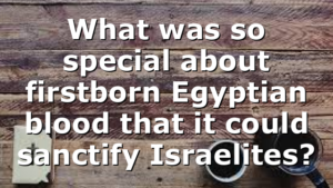 What was so special about firstborn Egyptian blood that it could sanctify Israelites?