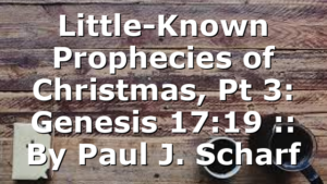 Little-Known Prophecies of Christmas, Pt 3: Genesis 17:19 :: By Paul J. Scharf
