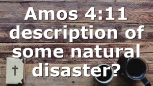Amos 4:11 description of some natural disaster?