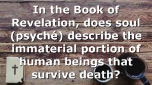 In the Book of Revelation, does soul (psyché) describe the immaterial portion of human beings that survive death?